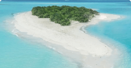 Govind Singh Cover Image